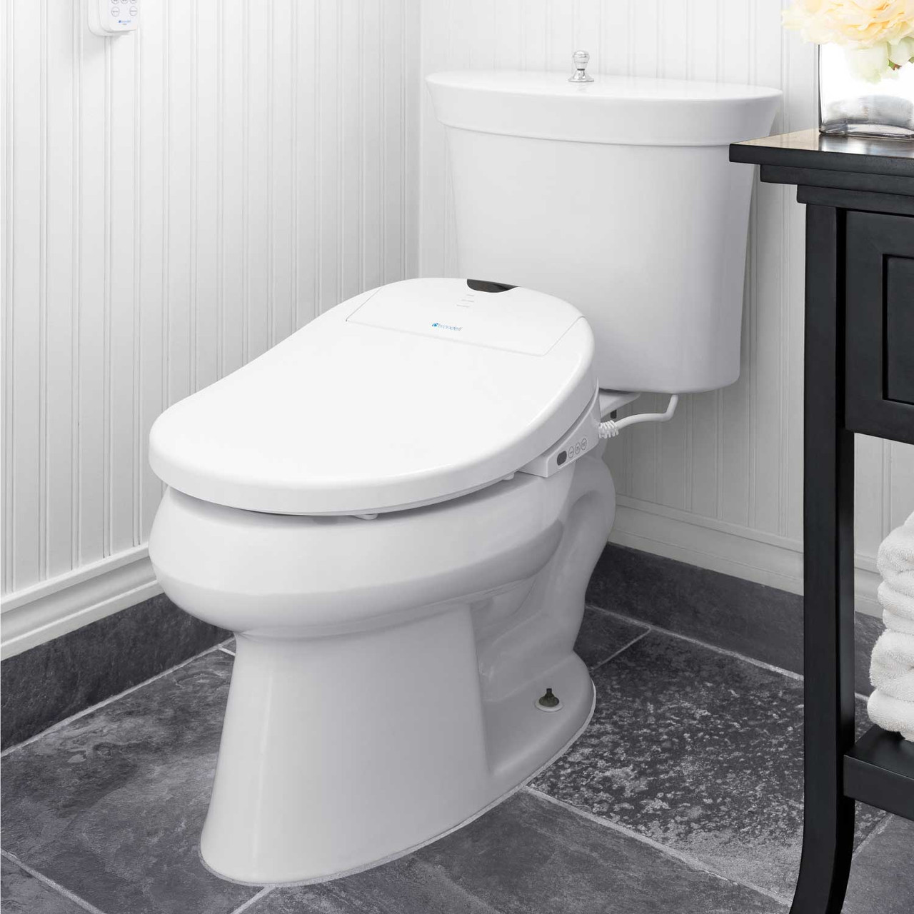 brondell s1000 bidet toilet seat