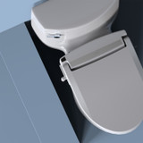 Brondell Swash DR802 bidet toilet seat installed on toilet in front of a pale blue background