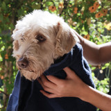 Hands drying a dog with a Navy Blue Nebia Towel in a garden