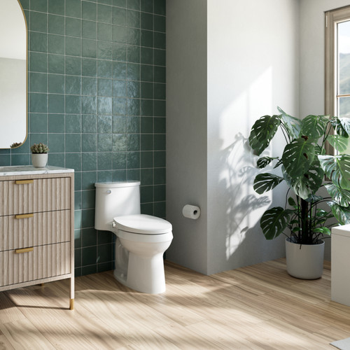 Swash CL150 Non-Electric Bidet Toilet Seat alternate view