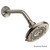 Brushed Nickel Showerhead