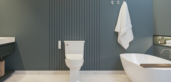 Are bidets sanitary and safe to use? 