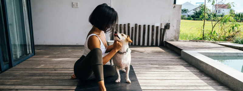 woman on yogamat in an outdoor deck next to pool spending time cuddling a cute white rescue dog>
</p>
<p>
	Living with a pet is its own unique joy. They are our loyal friends, eager playmates, and, in recent years, our work-from-home office buddies. They provide us with comfort and companionship—and for many pet owners, the thought of their furry friend waiting at the door makes getting home all the more exciting.
</p>
<p>
	Truth be told, our pets probably spend more time at home than we do, so keeping a clean and healthy space is important for your animal friends (and you).
</p>
<p>
	There are plenty of ways to make your home clean and cozy for your pets. Here are a few suggestions.
</p>
<h2>Healthier water breaks: filtered water for pets.</h2>
<p>
	Pets aren’t different from their humans when it comes to needing clean, healthy drinking water. According to 
	<a a=