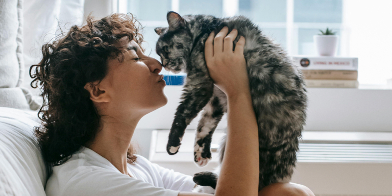 woman sitting against a cozy white bed nose to nose with a grey tabby cat against a sunny window with succulent plant>
</p>
<h2>Making bath time easier: handheld showerheads for pet care.</h2>
<p>
	Difficult, dramatic, wet, and messy are a few words that can describe bathtime with your pet. Depending on their personality, it can be a challenge to get them to stay calm.
</p>
<p>
	That’s where handheld showerheads come in. 
	<a href=