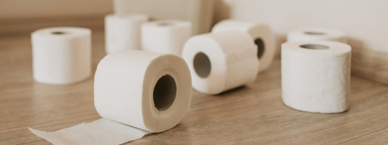 Toilet Paper rolls scattered on hard wood floor.