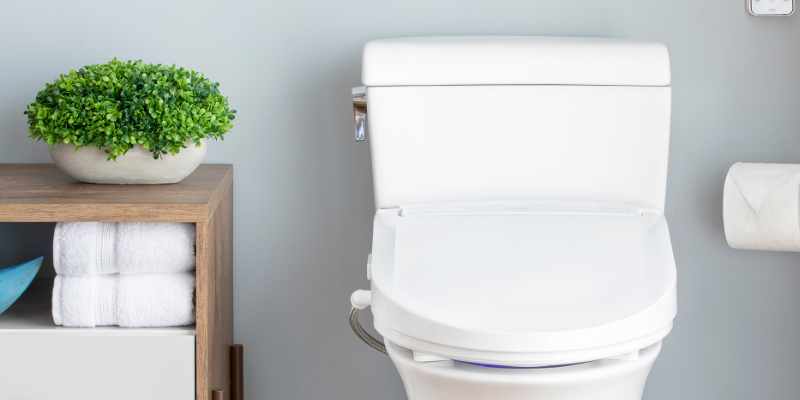 bidet toilet seat installed next to modern shelf and green plant in modern light blue gray bathroom