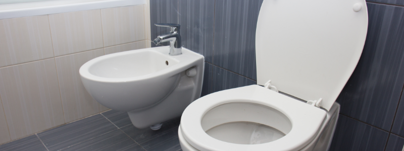 standalone European style bidet next to a standard toilet seat in clean gray tiled bathroom