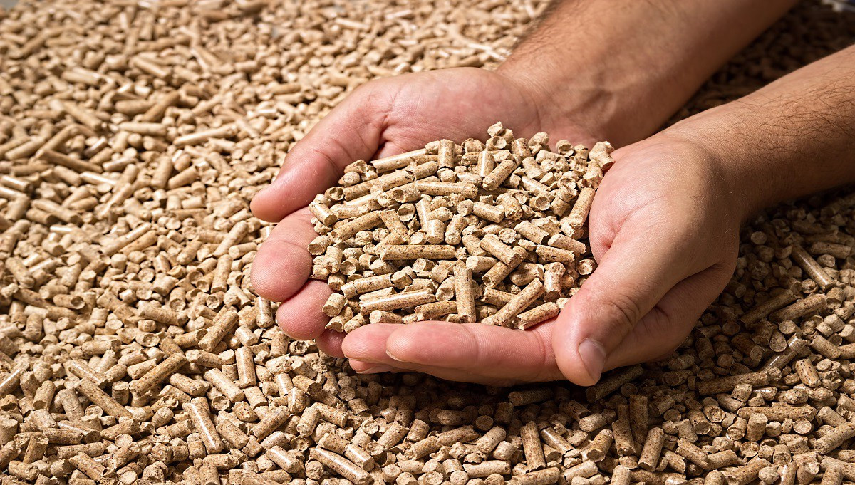UK Wood Pellet Market: Past, Present and Future