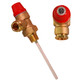 Advanced Water RM Cylinders Pressure and Temperature Relief Valve RPTPRV7B90C