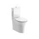 Holstone Back to Wall Rimless Close Coupled WC with Soft Closing Seat