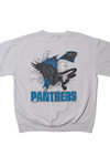 Vintage Carolina Panthers NFL Front/Back Print Sweatshirt