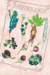Herbology Graphic Tee 