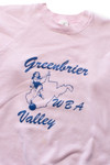 Vintage Greenbrier Valley WBA Sweatshirt (1990s)