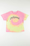 Dollywood Tie Dye Tee