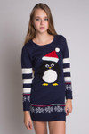 Penguin Sweater Dress