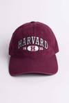 Harvard Dad Hat