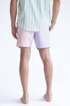 Pastel Purple & Pink Color Blocked Swim Shorts