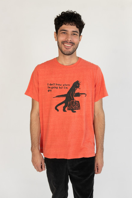 Gay Cat T-Shirt (Assorted Colors)