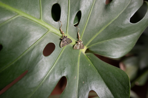 Gold Lunar Moth Earrings