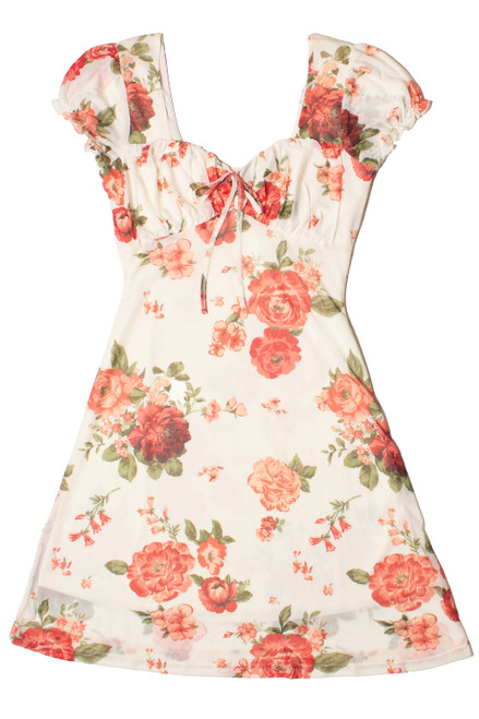 Puff Sleeve Floral Mesh Mini Dress