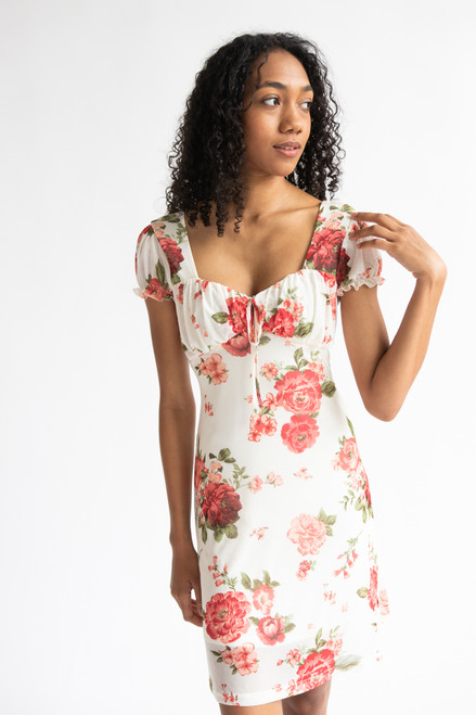 Puff Sleeve Floral Mesh Mini Dress