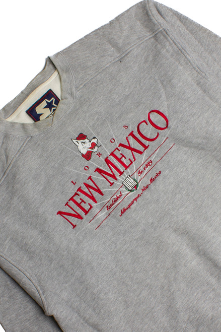 Vintage New Mexico Sweatshirt (1990s)