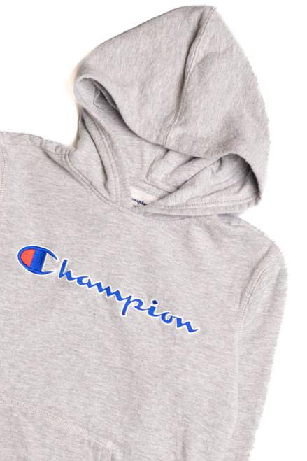 Gray Champion Hoodie 9198