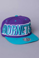 Vintage Snapback Hats