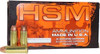 HSM Ammunition .44 Magnum Ammo 300gr HP Ammunition - 50 Rounds