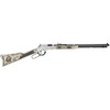 HENRY AMERICAN EAGLE 22LR 20" NICKEL