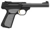 5.5"HB AS MATTE BLUED SYN !BG BUCK MARK CAMPER UFX .22LR