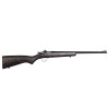 Crickett 22 Youth Black Laminate/Blued