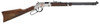 GoldenBoy 22LR 20" American Beauty