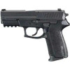 dSIG 2022 9MM PSTL BL DA/SA 2 MAGS