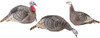 STRUT-LITE HEN/JAKE/FEEDER!HS STRUT TURKEY DECOY FLOCK 