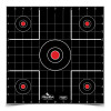 Dirty Bird 12" Sight-In 5-Bulls 12pk