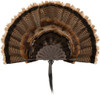 FAN DISPLAY BROWNALLEN EZ MOUNT TURKEY 