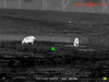 THERMAL RIFLE SCOPE 384X288SIGHTMARK WRAITH MINI 2-16X35 