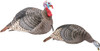 HEN/JAKE STRUT-LITEHS STRUT TURKEY DECOY COMBO 