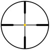 TRIJICON ACCUPOINT 2.5-10X56 STD DPL