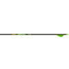 Gold Tip Hunter XT Arrows 340 Raptor Vanes 6 pk.