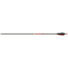 Gold Tip Hunter Arrows 500 4 in. Feathers 6 pk.