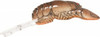 REB BIG CRAW  2 5/8" STREAM CRAW