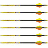 Carbon Express Mayhem Crossbow Bolts (6 Pack)