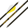2" RAPTOR VANES 1/2DOZGOLD TIP ARROW HUNTER PRO 400 