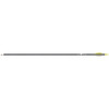 Gold Tip Fiberglass Arrows Black 1 doz.