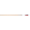Easton Carbon Legacy Arrows 340 4 in. Feathers 6 pk.