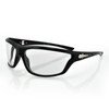 Florida Sunglass