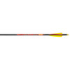 Black Eagle Outlaw Arrows 500 3 in. Feathers 6 pk.