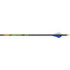 Gold Tip Hunter XT Arrows 500 Raptor Vanes 12 pk.